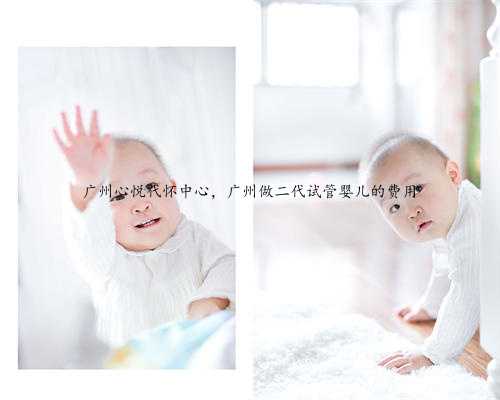 广州心悦代怀中心，广州做二代试管婴儿的费用