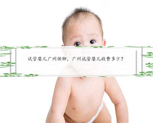 试管婴儿广州供卵，广州试管婴儿收费多少？