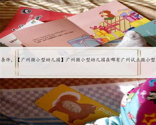 广州借卵自怀条件，【广州微小型幼儿园】广州微小型幼儿园在哪有广州试点微
