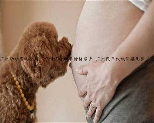 广州助孕咨询公司，广州试管助孕价格多少_广州做三代试管婴儿多少钱