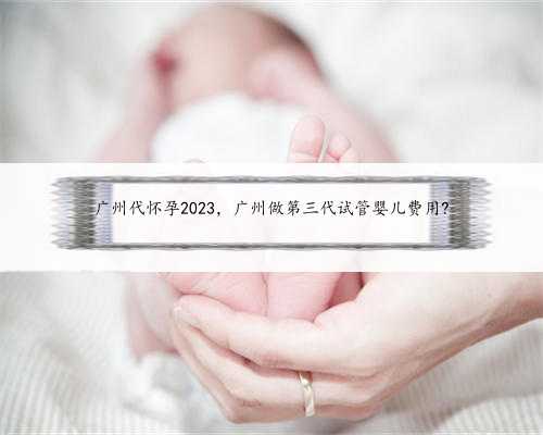 广州代怀孕2023，广州做第三代试管婴儿费用?