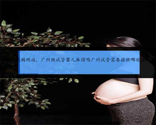 广州代妈网站，广州做试管婴儿麻烦吗广州试管需要提供哪些证明