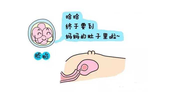 广州哪里可以捐精子,广州哪里可以献精