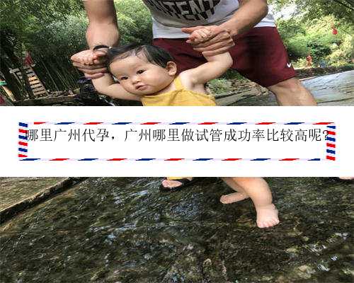 哪里广州代孕，广州哪里做试管成功率比较高呢?