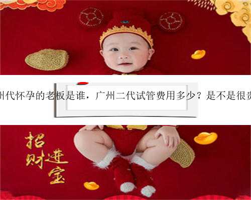 广州代怀孕的老板是谁，广州二代试管费用多少？是不是很贵？