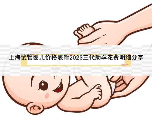 上海试管婴儿价格表附2023三代助孕花费明细分享