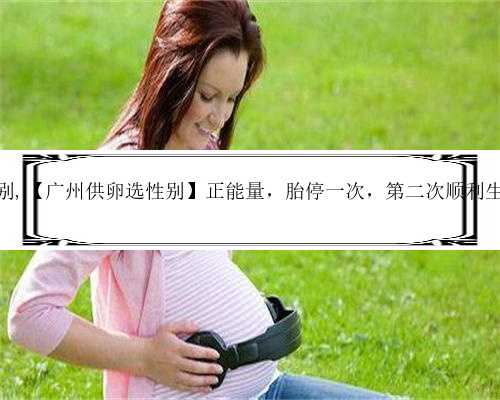 供卵选性别,【广州供卵选性别】正能量，胎停一次，第二次顺利生下小米妮