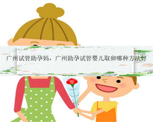 广州试管助孕妈，广州助孕试管婴儿取卵哪种方法好
